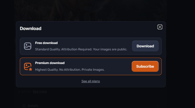 Craiyon download dialog comparing free vs premium download terms