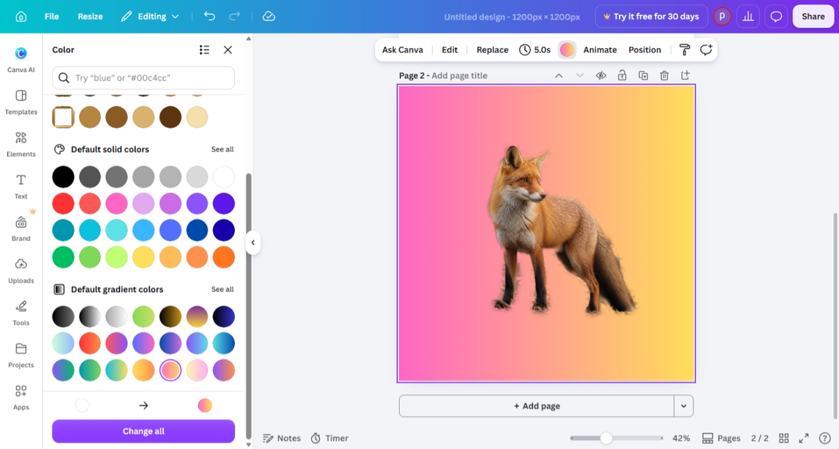Cutout image on gradient background inside Canva proving transparency works