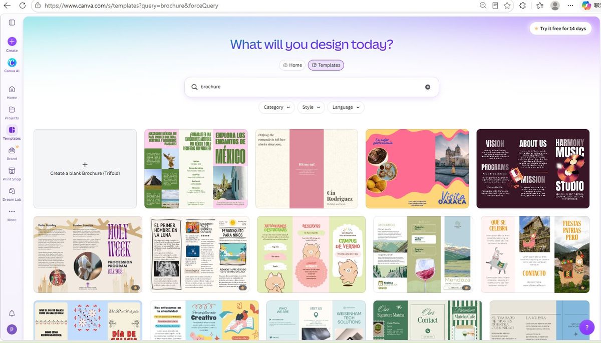 Canva brochure template gallery first screen with Create a blank Brochure Trifold tile and filter bar