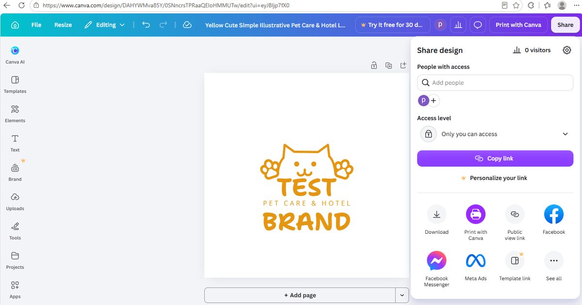 Canva share menu with the download button visible