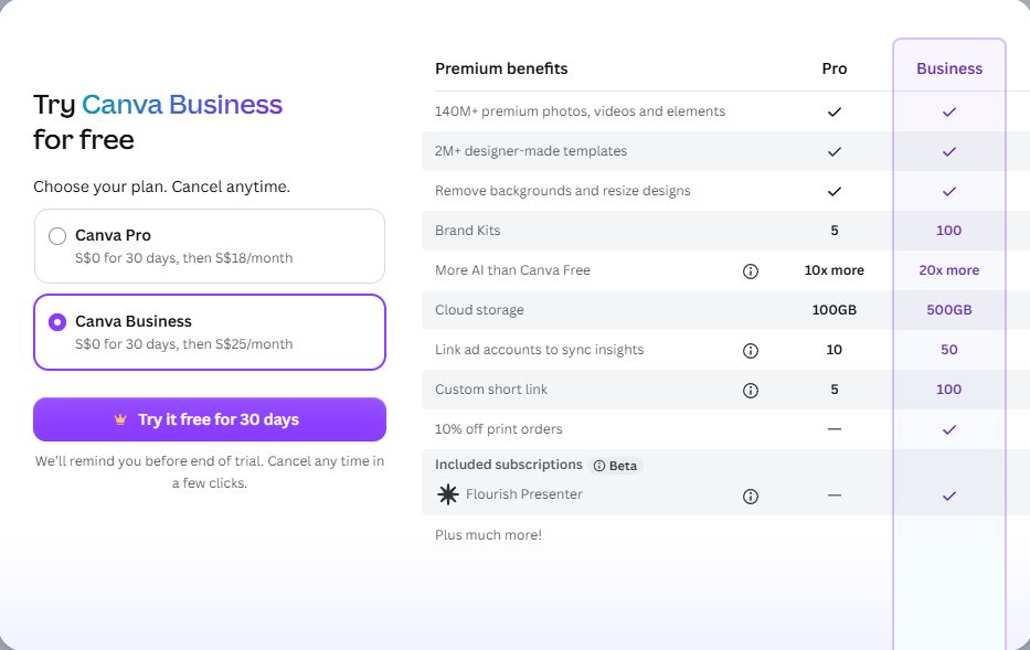 Canva paywall appearing when the transparent background toggle is switched on, with Canva Business selected by default